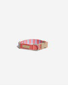 Collar 001